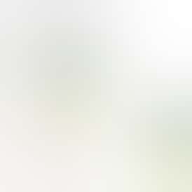 GDF: GO Block Vape | Peach Mango Ice | All-In-One | 1g