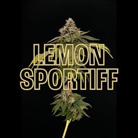 GDF: Flower | Lemon Sportiff | 3.5g