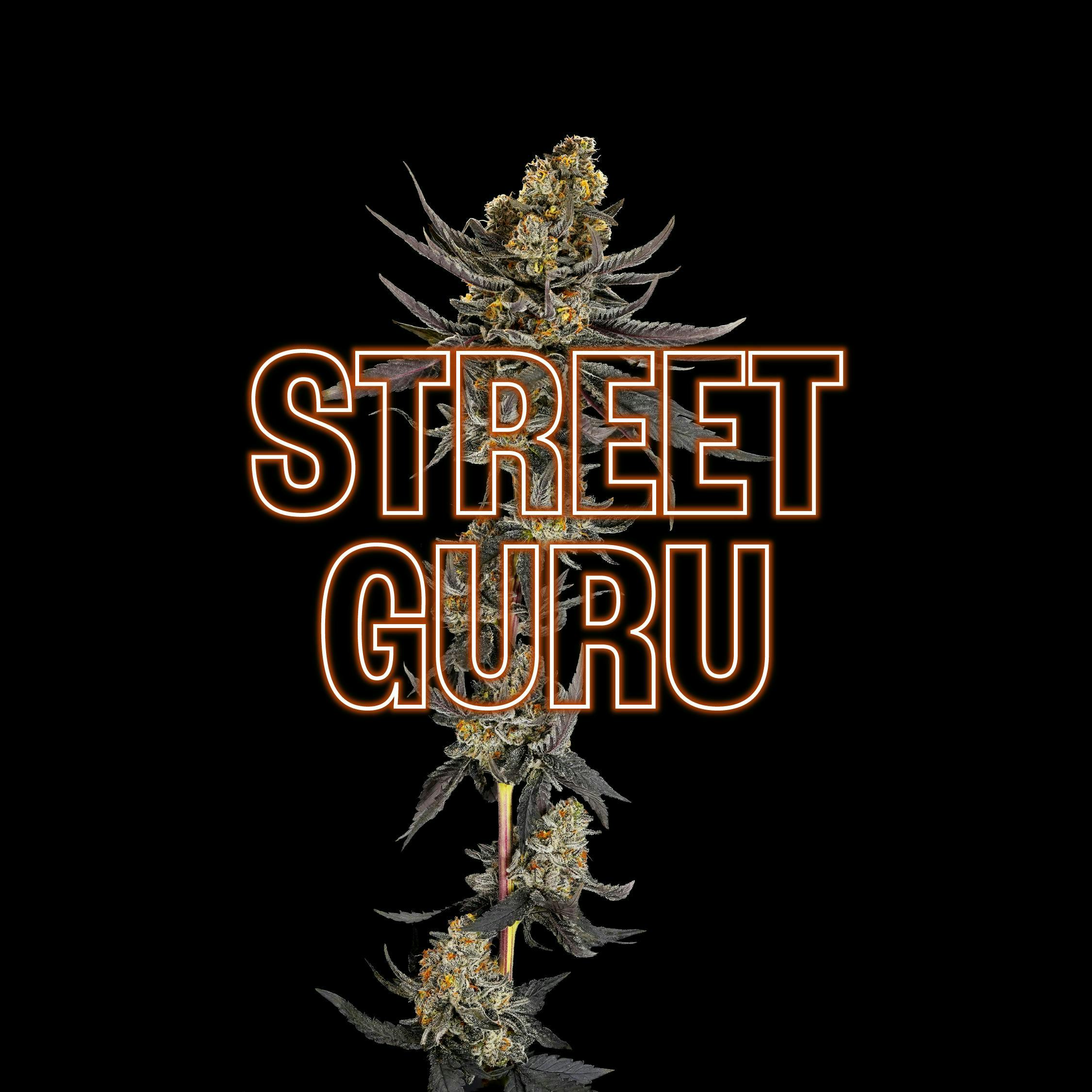 GDF: Flower | Street Guru | 3.5g by Good Day Farm
