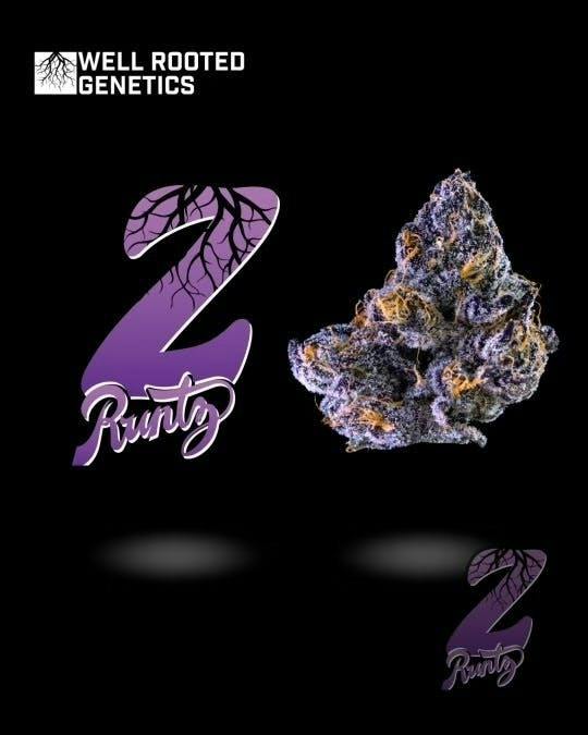Well Rooted Genetics | Zruntz | Big Buds | 3.5g