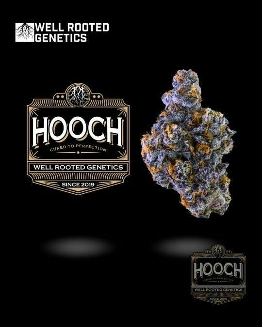 Well Rooted Genetics | Hooch | Big Buds | 3.5g