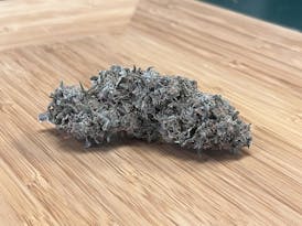 Dog Walker OG