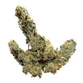 Blue Cookies