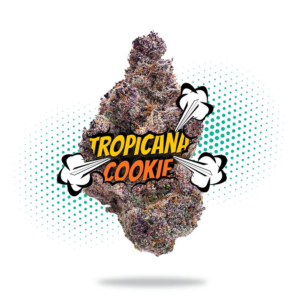 Frostiez — Tropicana Cookies