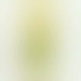 Lemon Haze Cartridge 1g