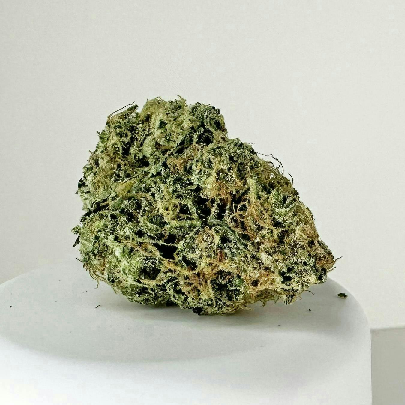 Packaged Flower - Hawaiian Dutch - 3.5g