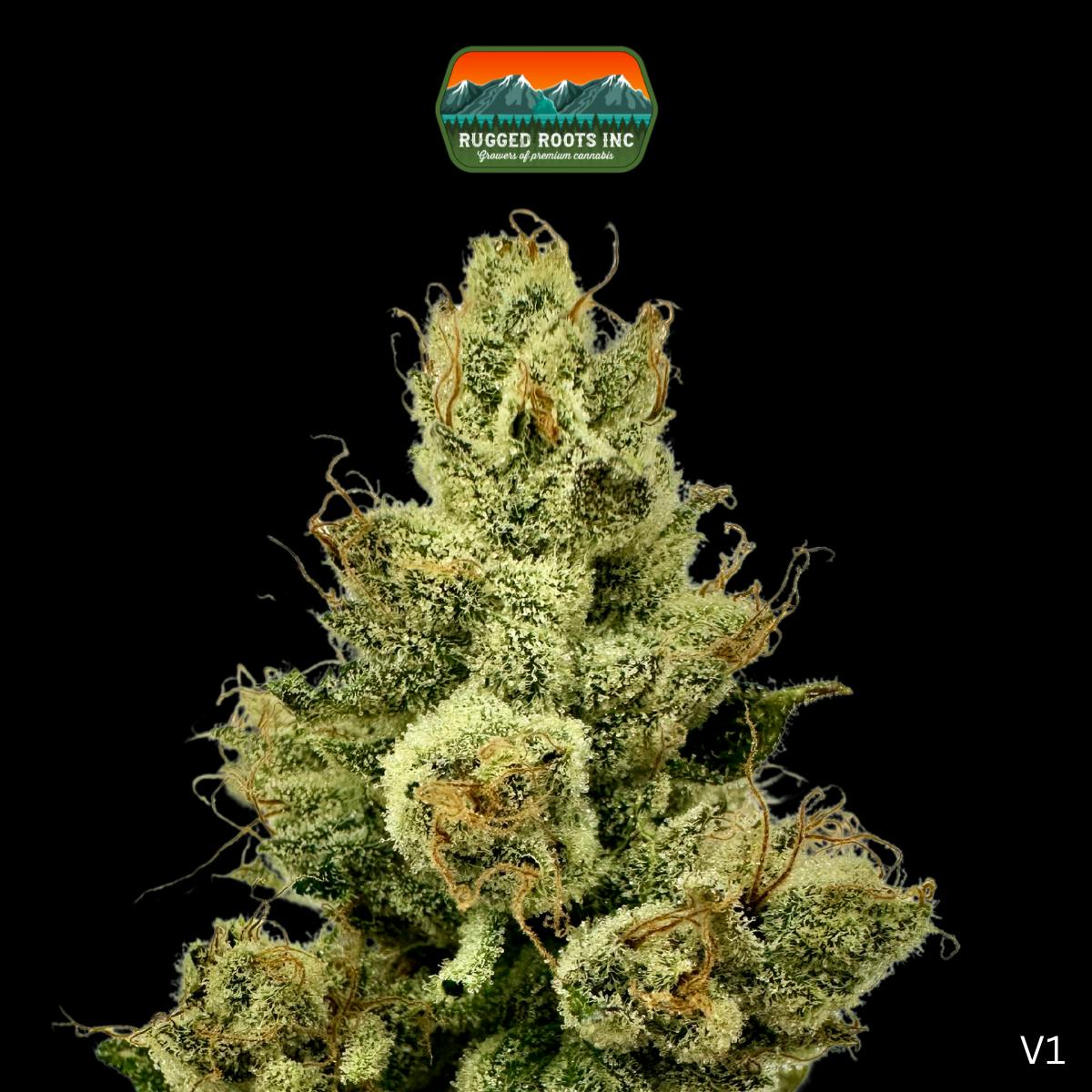 Rugged Roots | Ray K 3.5g - Rugged Roots Rugged Roots | Ray K 3.5g - Rugged Roots