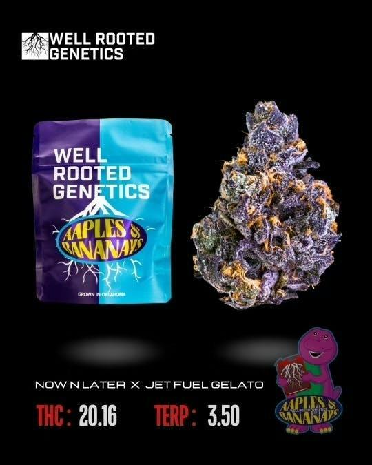Well Rooted Genetics | Aapples & Bananay's | Big Buds | 3.5g