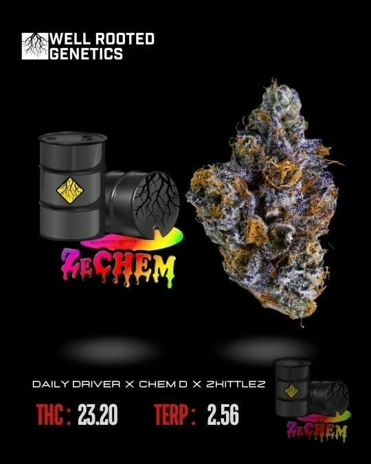 Well Rooted Genetics | ZeChem | Big Buds | 3.5g