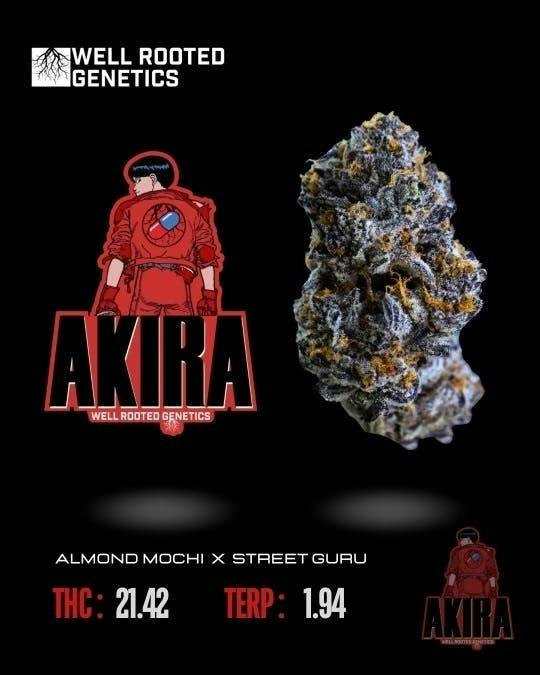 Well Rooted Genetics | Akira | Big Buds | 3.5g