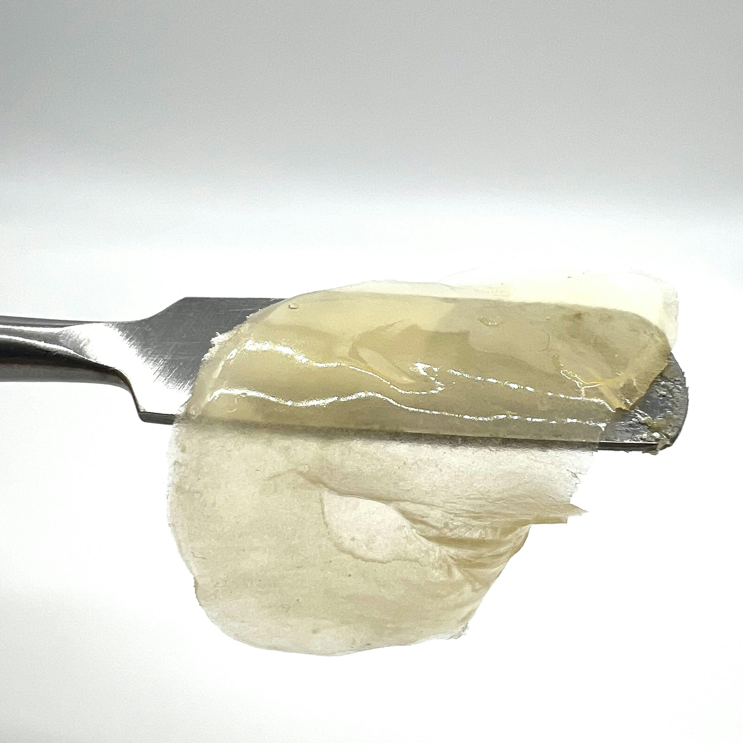 knockout-shatter-northeast-alliance