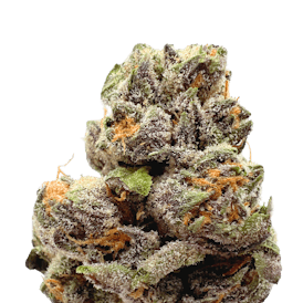 BCF - Caribbean Cookes - 7g Can