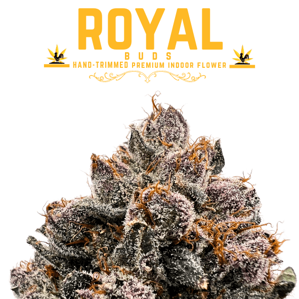 【本物保証】 Trimmed Hand - Buds Royal - BCF Premium Flower Indoor ポケモンカードゲーム