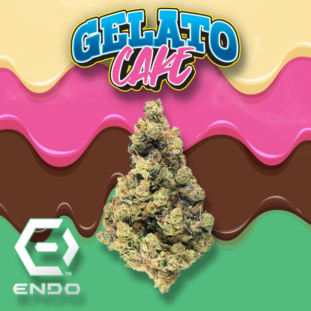 ENDO GELATO CAKE BULK FLOWER