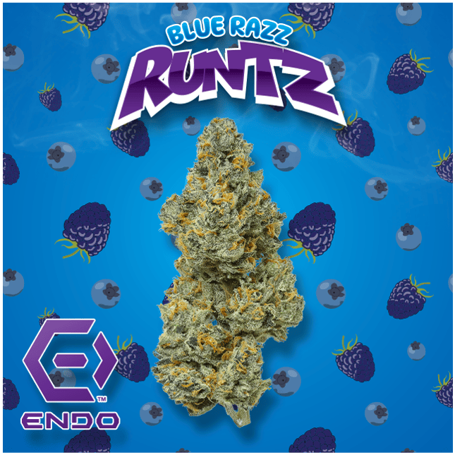 ENDO PRIME BLUE RAZZ BULK FLOWER by Endo