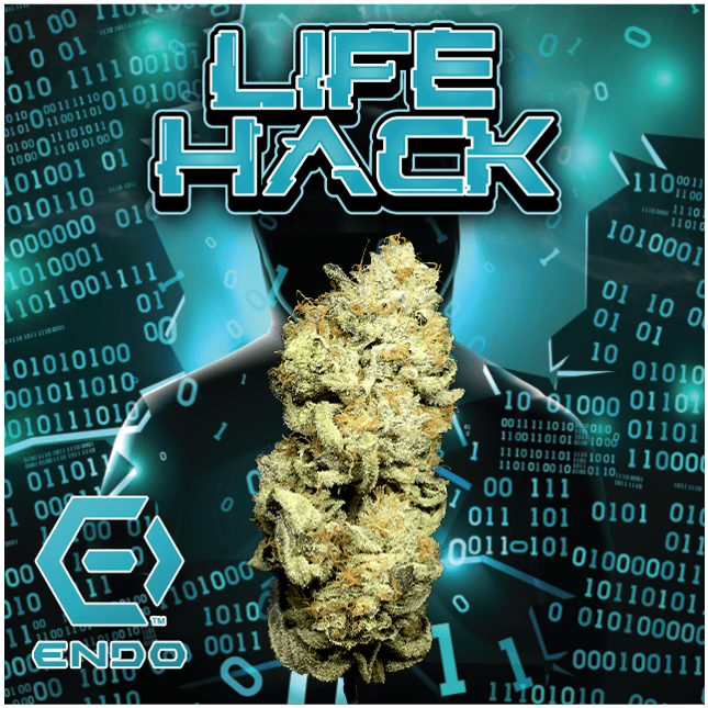 ENDO PRIME LIFE HACK BULK FLOWER by Endo
