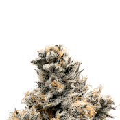 Runtz B - 3.5g Can | Baked Chicken Farm