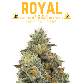 BCF - Royal Buds - Hand Trimmed Premium Indoor Flower - Cromagnon Man 3.5g