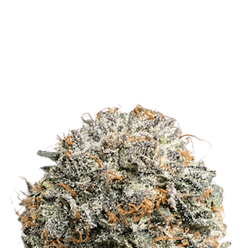 BCF - Nimbus Snacks - 7g Can