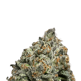 BCF - Tuscan Gelato - 3.5g Can