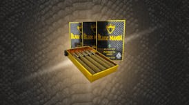 Black Mamba Box - Jack Herer - 6gram -5pk Infused Blunt