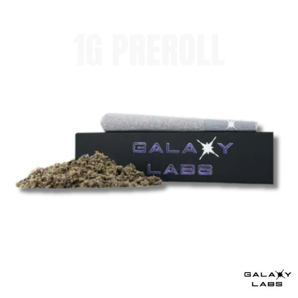 Brioche French Toast - 1g Pre-roll