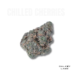 Chilled Cherries - Galaxy Labs Flower