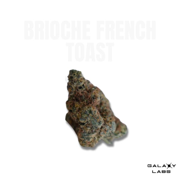 Brioche French Toast - Galaxy Labs Flower