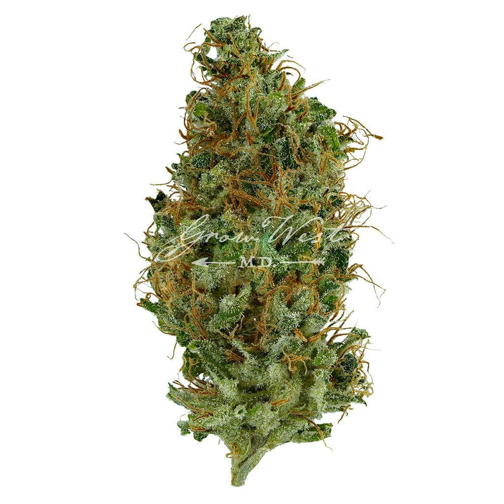 Afterburner | Gold | Trimmed Flower by Grow West Cannabis Company