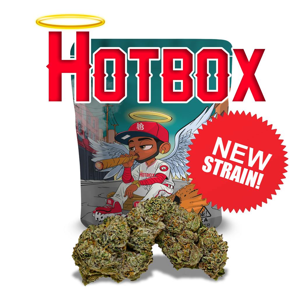 Hotbox: Baseball Series 8th Bag #1