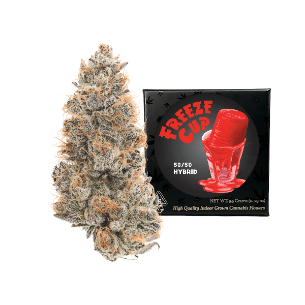 Team Elite Genetics: Freeze Cup
