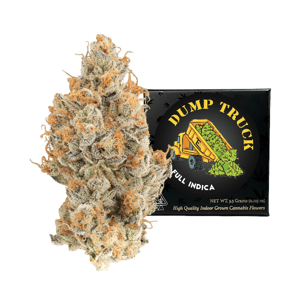 Team Elite Genetics: Dump Truck