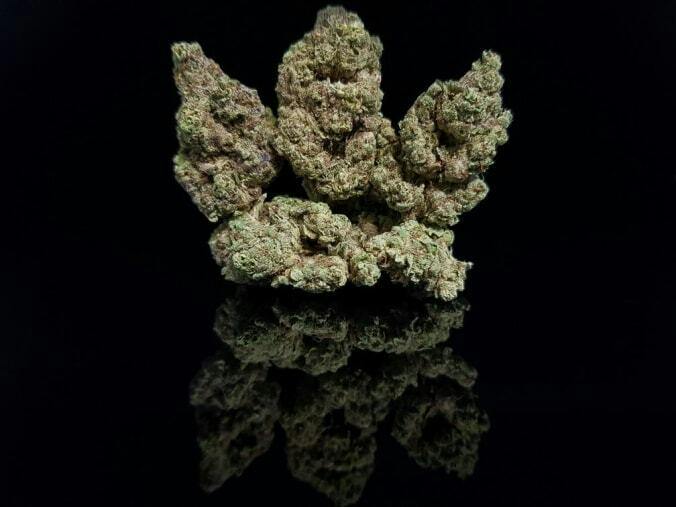 Flower - Gush Mints (19.04%) - Bigs