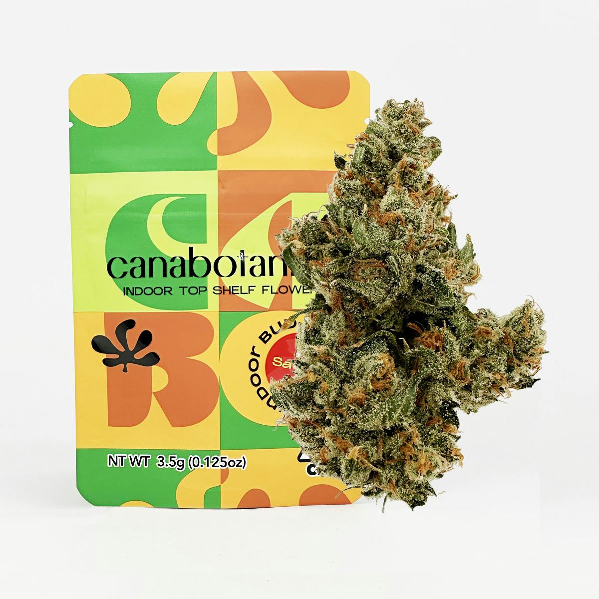 Canabotanica — Jack Herer