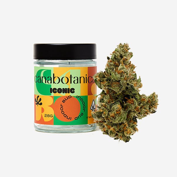Canabotanica — Jack Herer