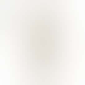 Cantaloupe Dream 900mg All in One Device