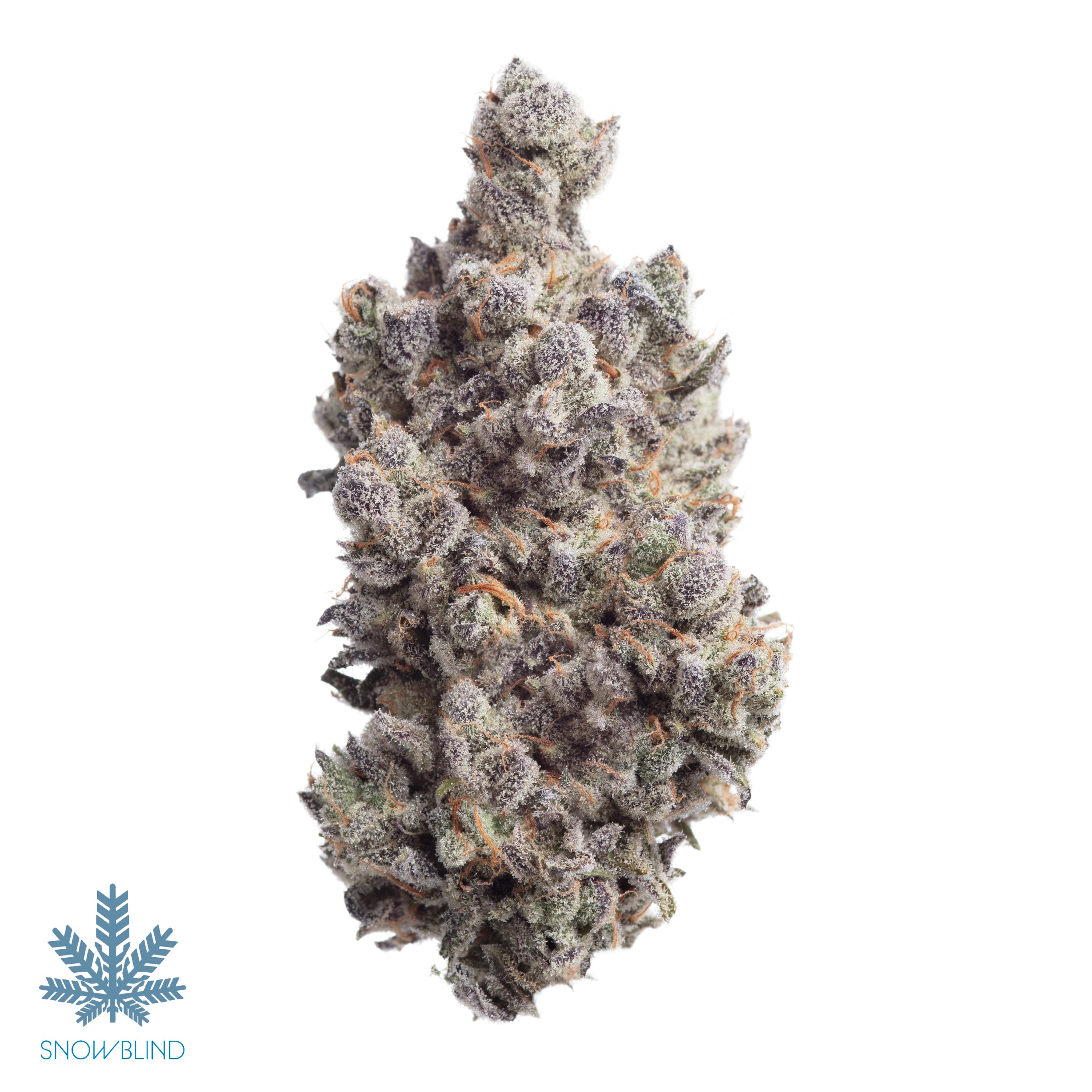 Freak - Snowblind Cannabis