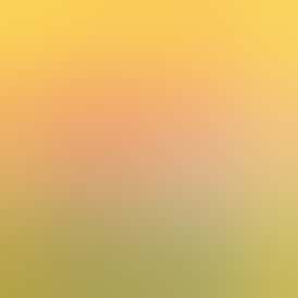 CAM Edibles | Watermelon (100mg)