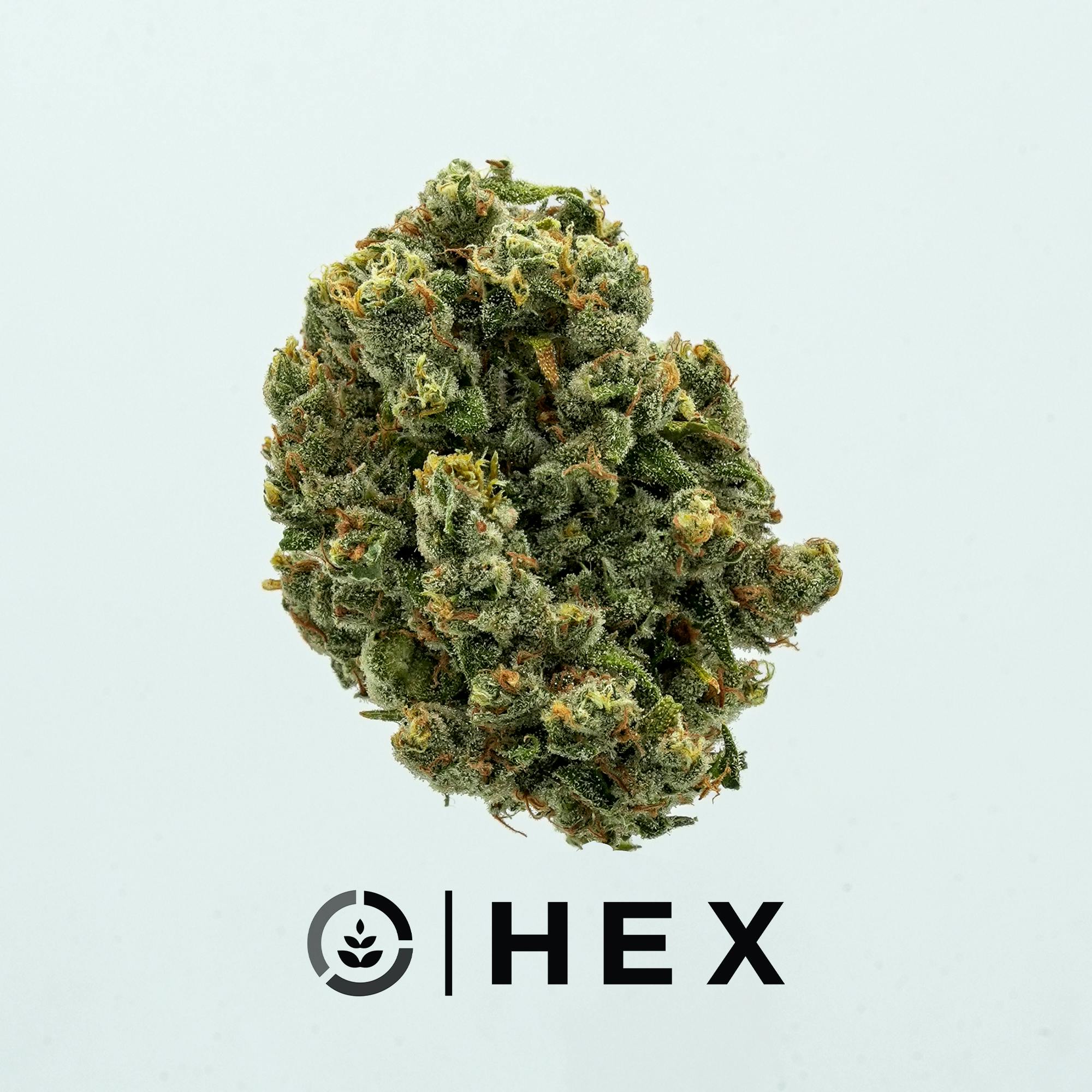 HEX: Super Jack Herer