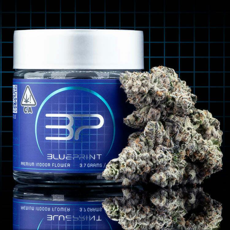 Blueprint - P-90 - Indoor - 3.5g