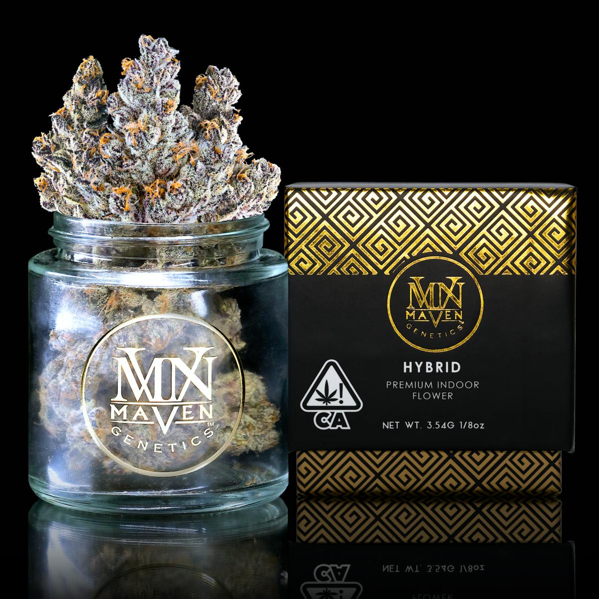 Maven Genetics — French Lotus