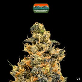 Rugged Roots | Full Court Sour 3.5g