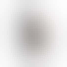 PRELOAD - 2g CLASSIC - Mango Haze