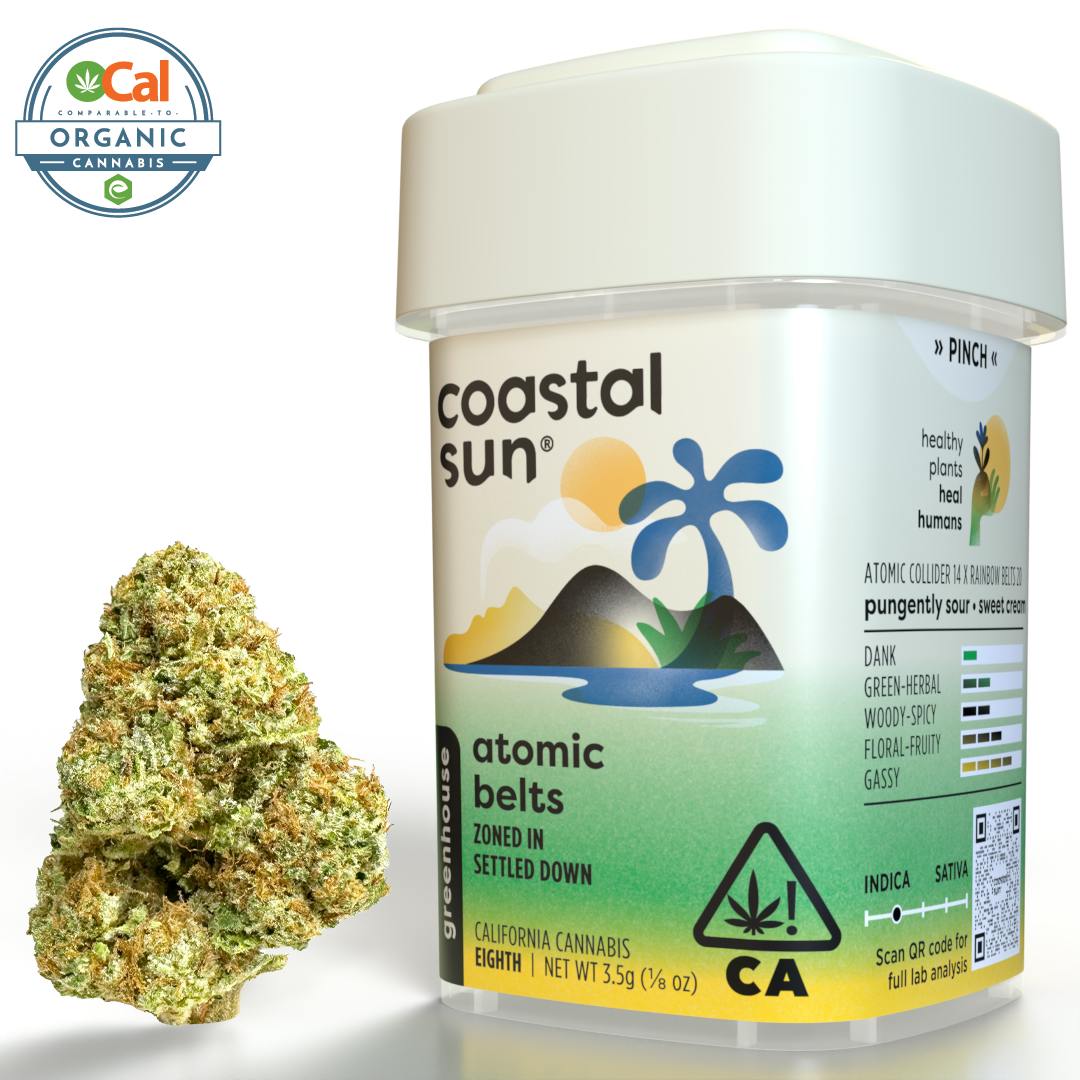 Coastal Sun — Atomic