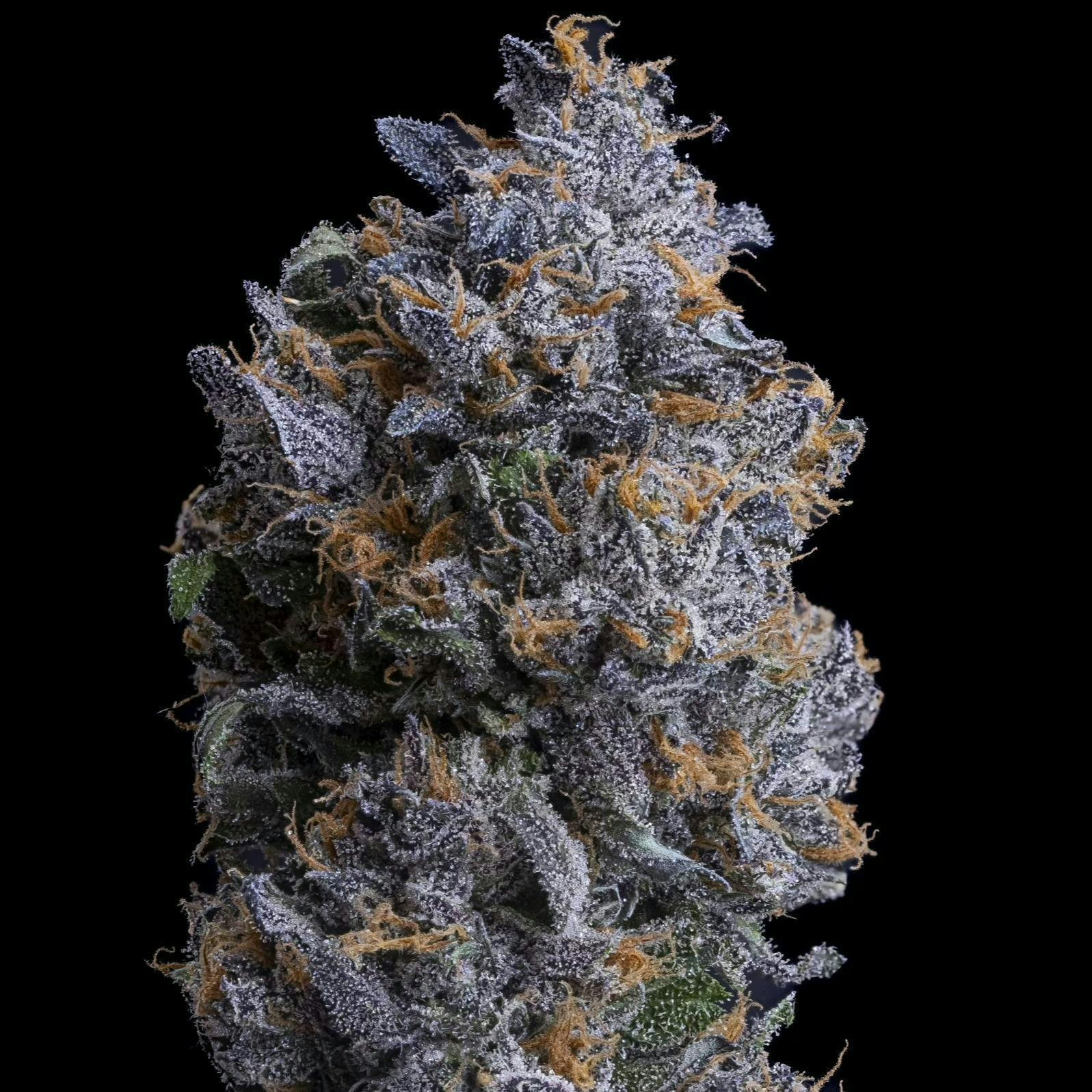 Sticky Status — Limonene