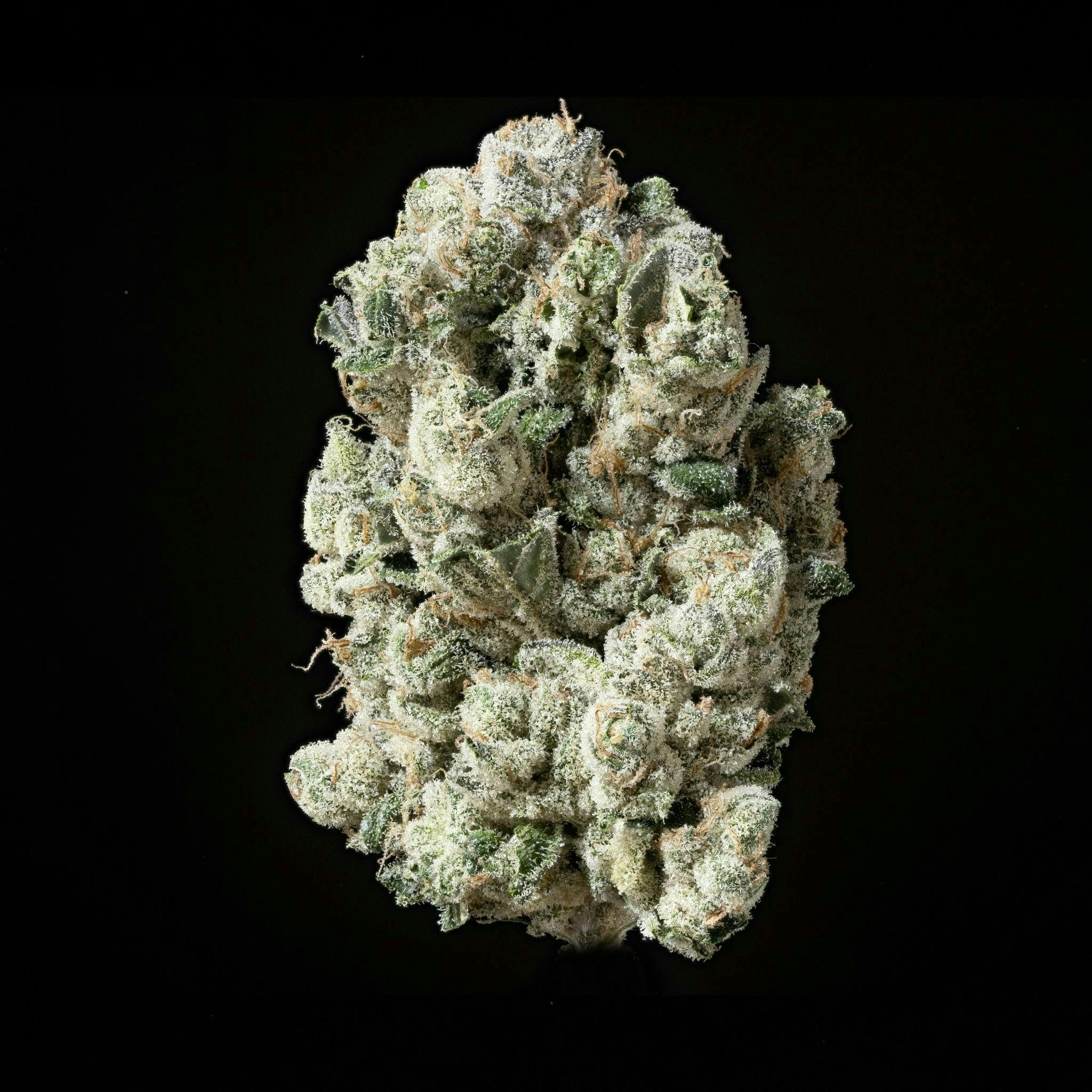Sticky Status — Lemon Mints