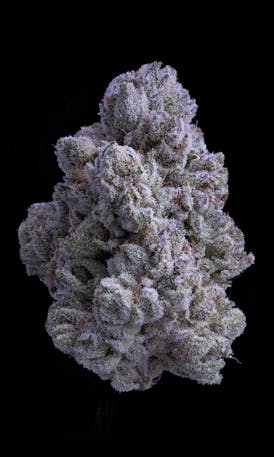 Snow White - Flower 3.5g Jar