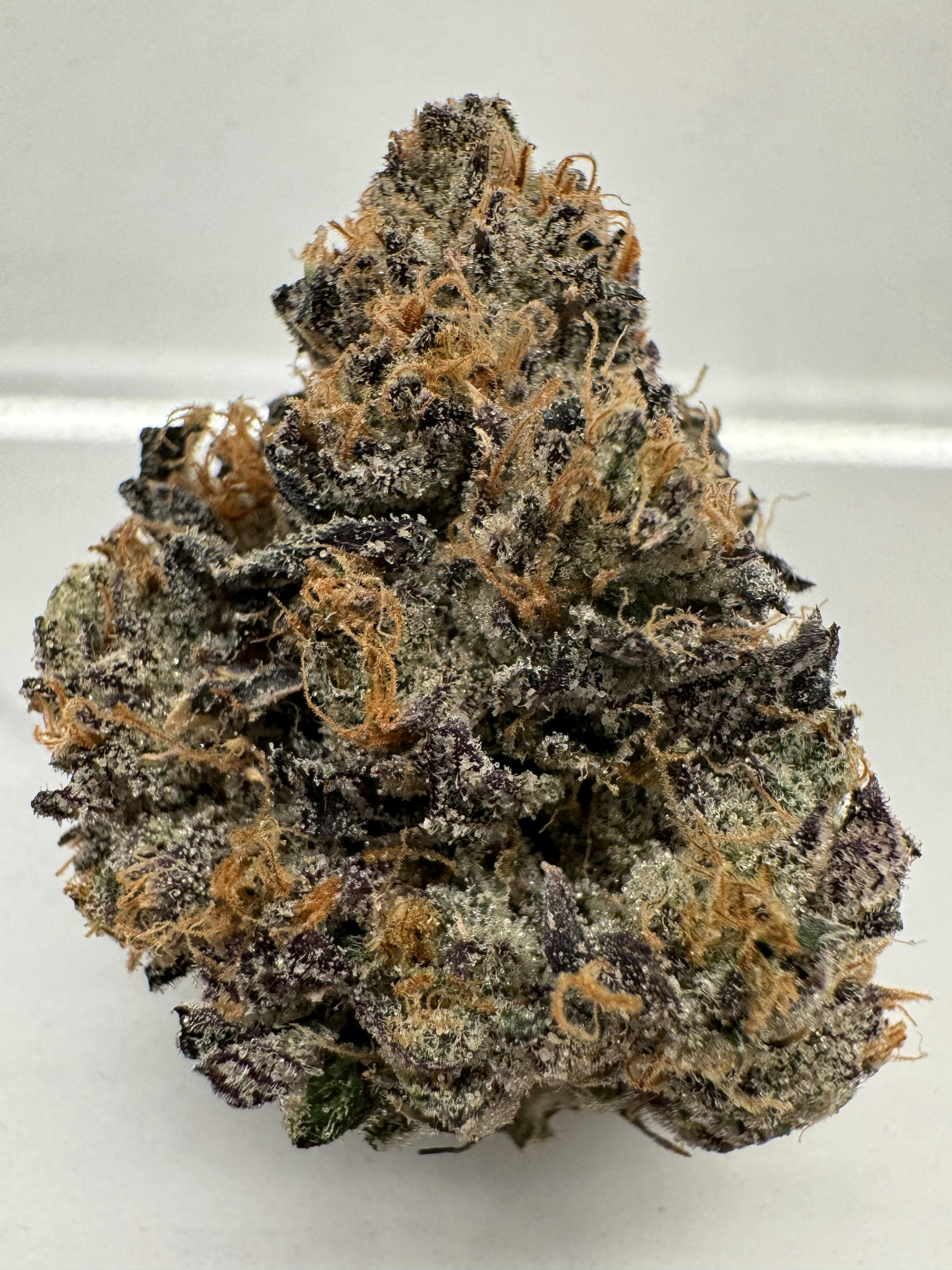 Lemon Cherry Gelato