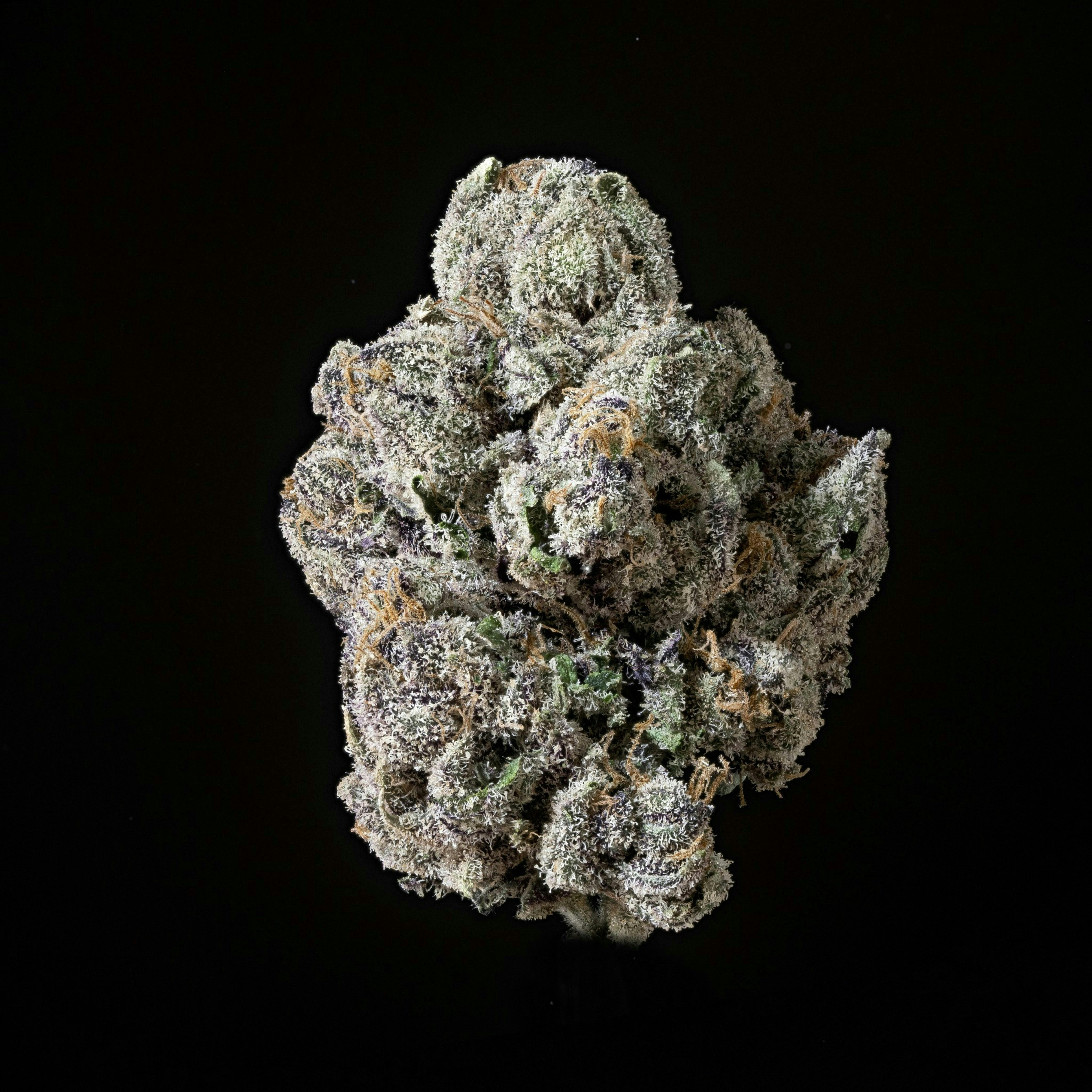 Sticky Status — Lemon Cherry Gelato