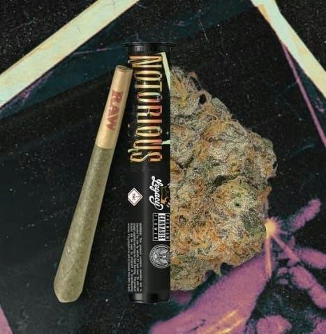 EVOL by Future | Notorious #1 | Joint | 1g